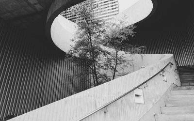 Estrategia de sostenibilidad en la empresa moderna: Una guía para un impacto positivo